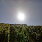 Photo n°1 de l'avis de Anett.i fait le 14/06/2022 à 09:08 sur le  Hotel & Restaurant Weinberg à Baden-Baden