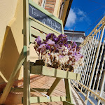 Photo n°1 de l'avis de Milena.a fait le 04/03/2024 à 15:02 sur le  Terra Madre Home Restaurant à San Pantaleone