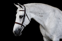 Lindsey Long Equine Photography - Photo 7 - Car repair in Moorpark, CA, Simi Valley