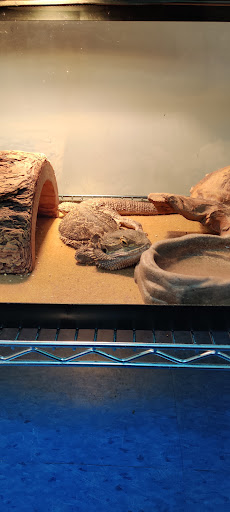 Pet Store «Pet Nation Llc», reviews and photos, 1898 Andorra St, Navarre, FL 32566, USA