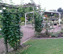 African Sun Guest House photo