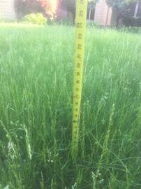 Kolkman Concrete and Landscaping - Photo 9 - Car repair in , Fort Wayne