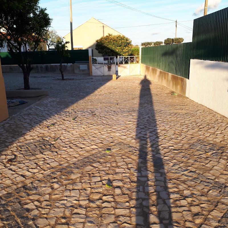 6 image