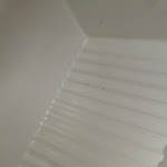 Photo n°12 de l'avis de Flo.c fait le 23/04/2023 à 10:07 sur le  Hotel Stadt Mühlhausen à Mühlhausen