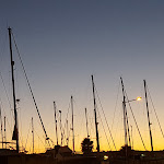 Photo n°1 de l'avis de Keith.b fait le 10/05/2017 à 08:06 sur le  Tasca do Kiko à Lagos