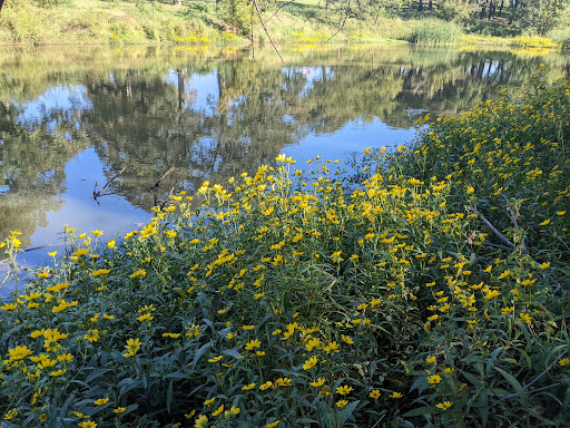 Park «Randol Mill Park», reviews and photos, 1901 W Randol Mill Rd, Arlington, TX 76012, USA