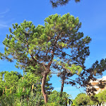 Photo n°5 de l'avis de proce94.i fait le 31/10/2023 à 19:40 sur le  Hotel PortoBay Falésia à Albufeira