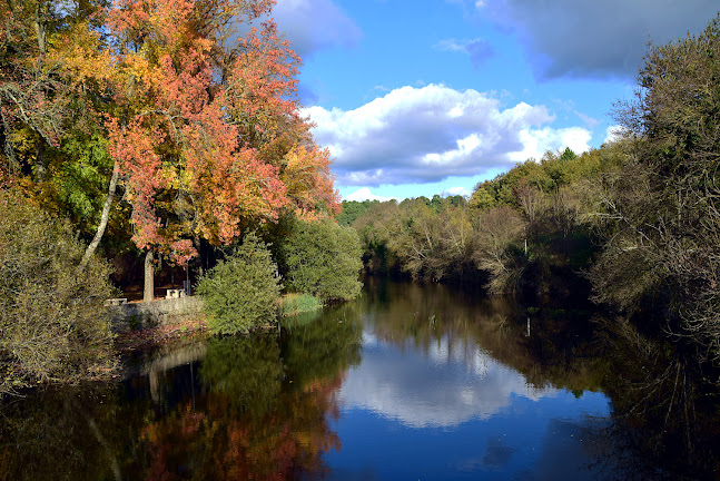 Parque Florestal