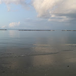 Photo n°3 de l'avis de Rosa.a fait le 08/08/2023 à 05:27 sur le  Adria Beach Club à Villamarina