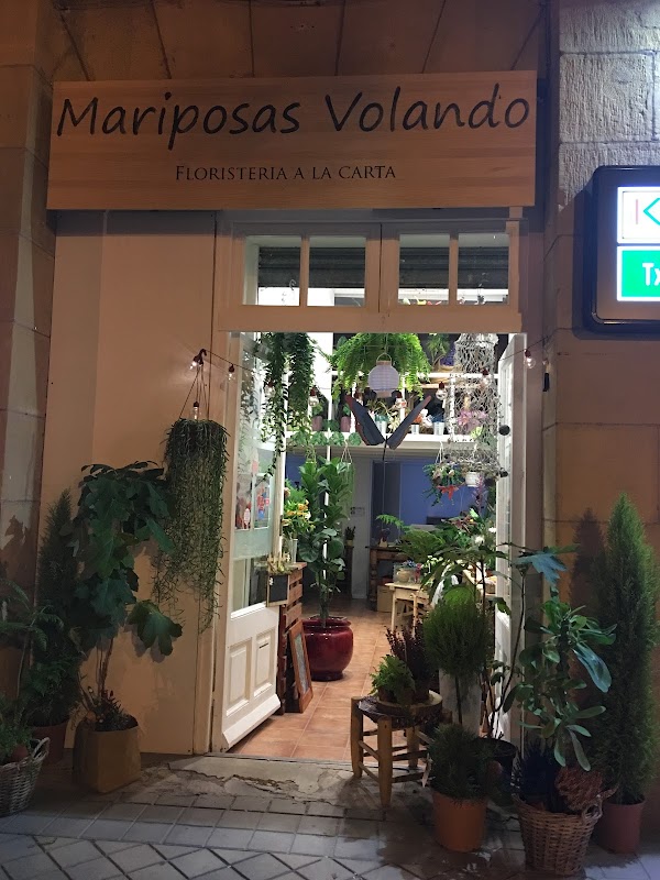 Imagen de Mariposas Volando (6 de 25)