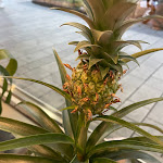 Photo n°3 de l'avis de Annika. fait le 21/07/2023 à 18:35 sur le  My Kumpir à Hanau