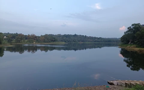 Pathazhakundu Dam image