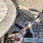 Photo n°9 de l'avis de Florian.. fait le 03/09/2023 à 13:43 sur le  Hotel Villa Brenner à Grünstadt