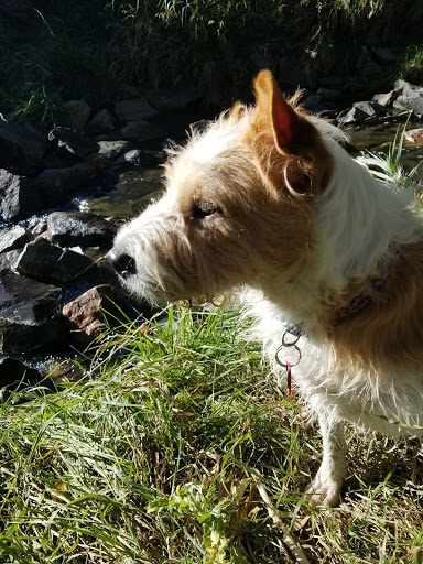 Park «Belmar Park», reviews and photos, 801 S Wadsworth Blvd, Lakewood, CO 80226, USA