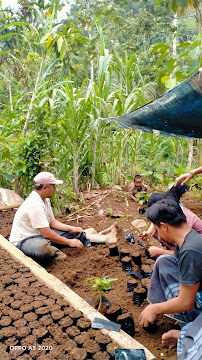 Foto MTs  Sa Anwarul Hidayah, Kabupaten Pesawaran