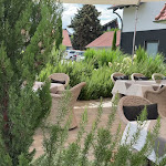 Photo n°8 de l'avis de Sarina. fait le 15/06/2023 à 08:56 sur le  Seehotel Restaurant Bader GmbH & Co. KG à Bobenheim-Roxheim