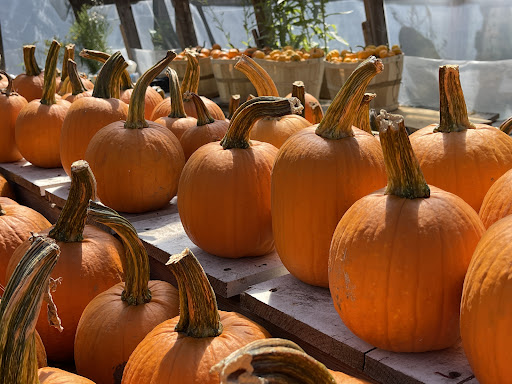 Produce Market «Smith Farm», reviews and photos, 131 Kimball Hill Rd, Hudson, NH 03051, USA