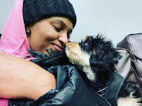 Max’s Wonderland Pet Care - Photo 2 - Car repair in , Washington