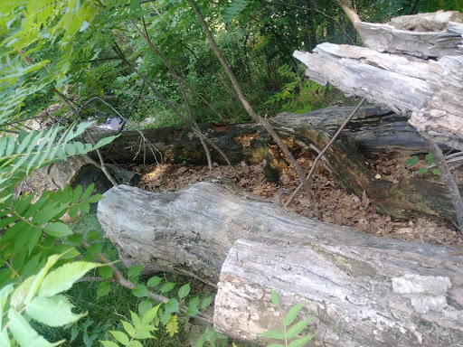 Park «Mack Park», reviews and photos, 31 Grove St, Salem, MA 01970, USA