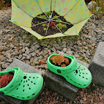 Photo n°11 de l'avis de S.a fait le 12/09/2021 à 07:15 sur le  Mariandl - Zum Singenden Wirt à Haibach