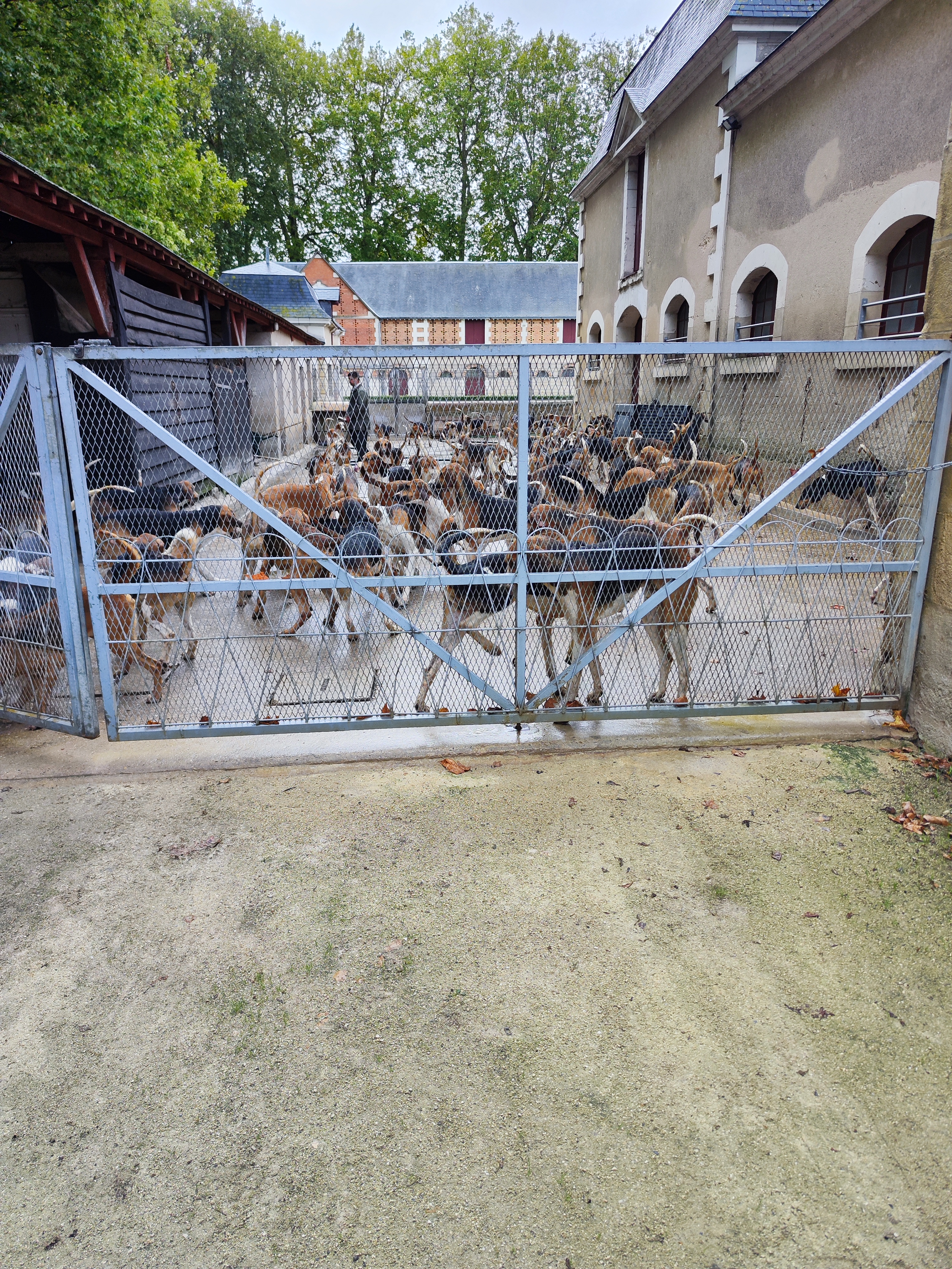 Photo n° 4 de l'avis de gilles.e fait le 28/08/2023 à 16:31