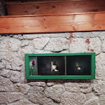 Photo n°4 de l'avis de Cinzia.o fait le 29/08/2019 à 05:19 sur le  Malga Valli à Barcis