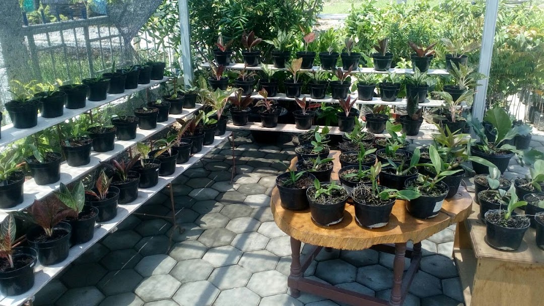 ORYZA GARDEN