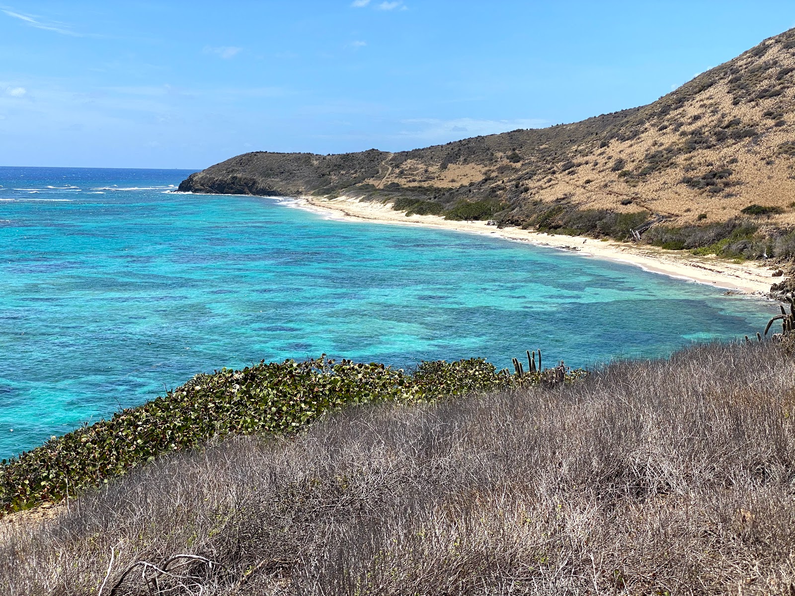 Isaacs Bay beach photo #9