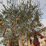 Photo n°2 de l'avis de LUCIA.M fait le 29/11/2019 à 14:28 sur le  Winner à Foligno