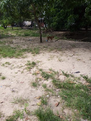 Parque De Los Cumpleaños - photo 1