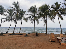 Nintavur Beach'in fotoğrafı imkanlar alanı