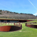 Photo n°3 de l'avis de Graziano.n fait le 30/03/2024 à 13:56 sur le  Rinuccio Restaurant à Bargino