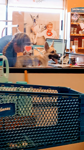 Pet Supply Store «PetSmart», reviews and photos, 4230 Pueblo Fwy, Pueblo, CO 81008, USA