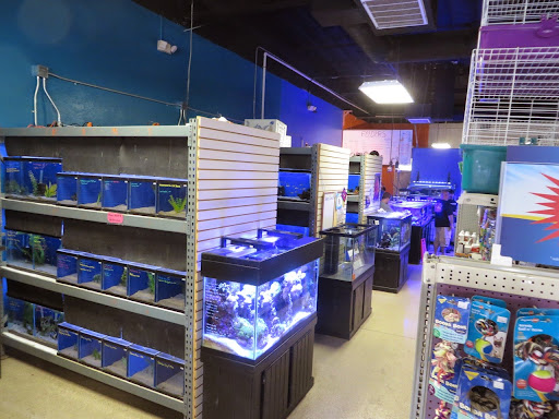 Pet Store «The Pet Shop», reviews and photos, 2235 S Power Rd #107, Mesa, AZ 85209, USA