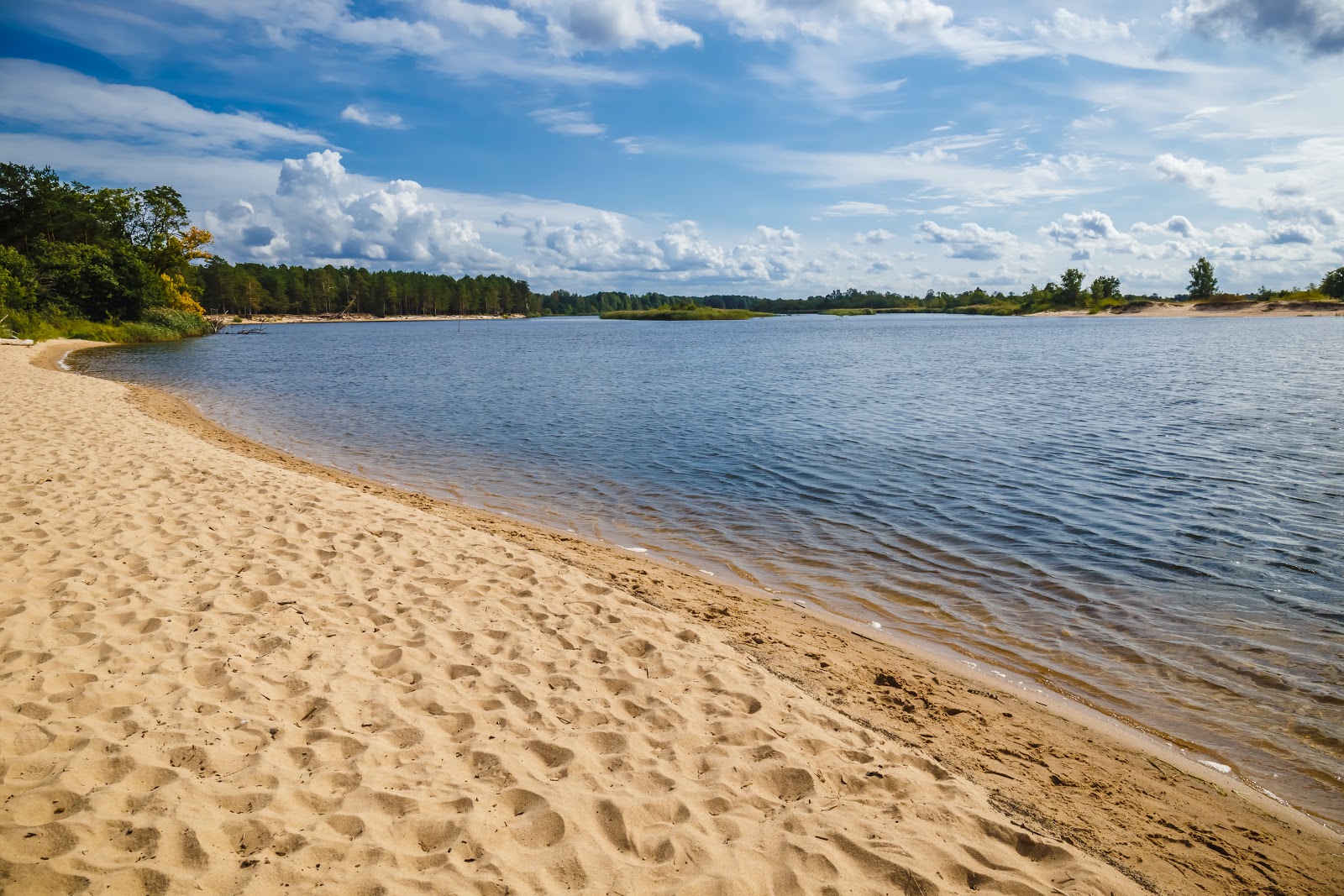 Foto de Gauja beach com linha costeira longa e reta