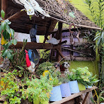 Photo n°5 de l'avis de francesco.o fait le 13/04/2023 à 17:26 sur le  Osteria Pizzeria Il Talismano à Siniscola