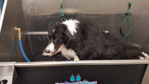 Pet Supply Store «Pet Supplies Plus», reviews and photos, 713 Brandilynn Blvd, Cedar Falls, IA 50613, USA