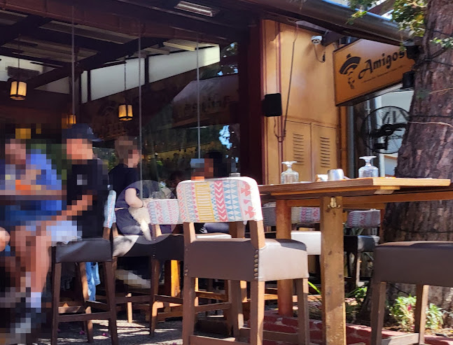 Σχόλια και κριτικές για το Amigos