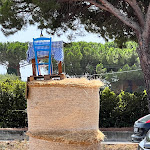 Photo n°7 de l'avis de marco.r fait le 17/08/2022 à 12:05 sur le  Il Picciólo - Agriristoro a Km0 à Capalbio