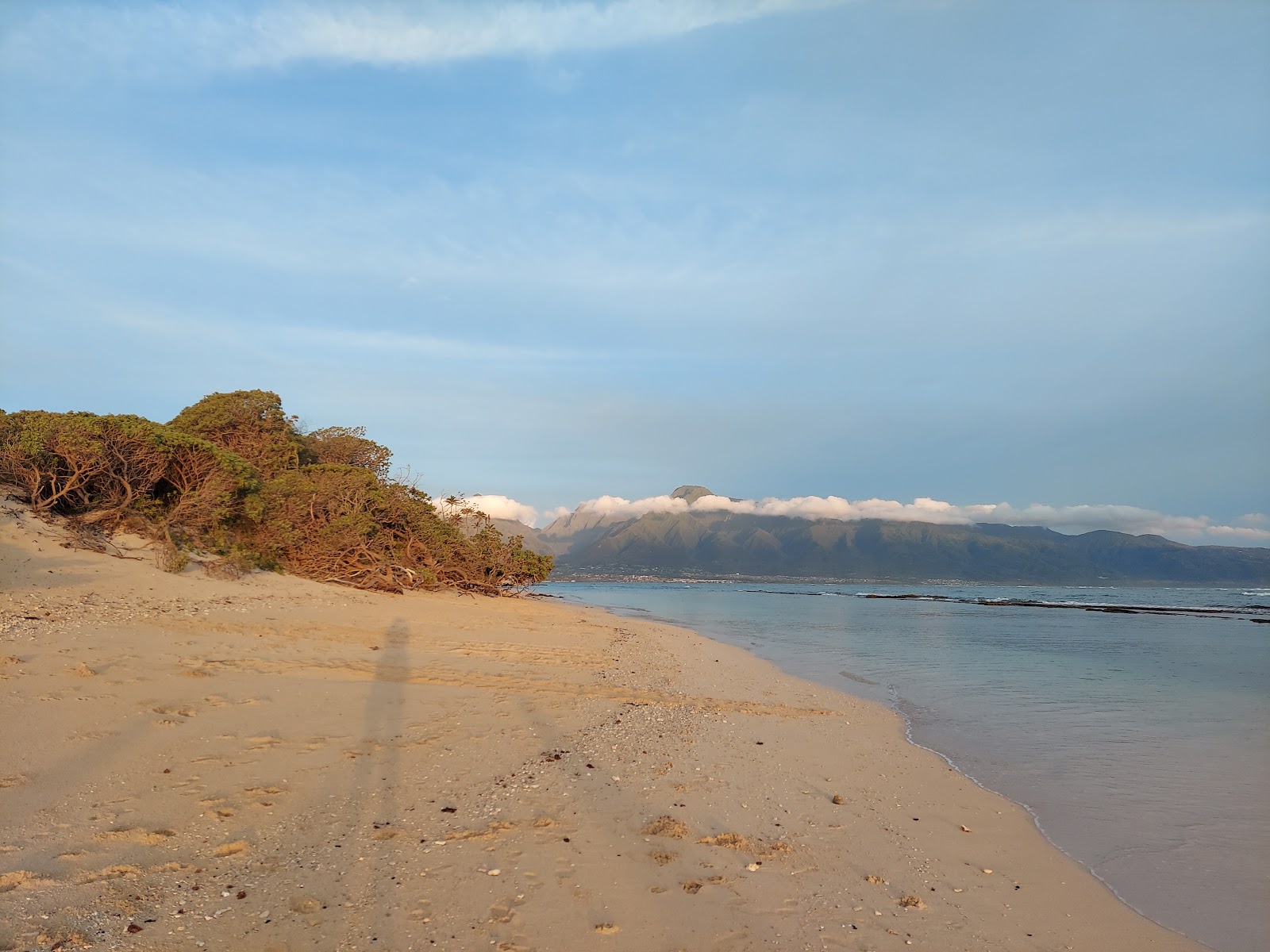 VOR Beach'in fotoğrafı vahşi alan