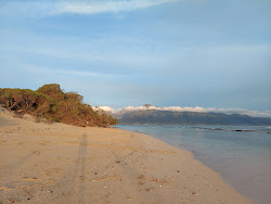 VOR Beach'in fotoğrafı vahşi alan