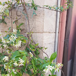 Photo n°1 de l'avis de Sara. fait le 15/06/2019 à 13:21 sur le  Osteria del Vicolo Nuovo à Imola