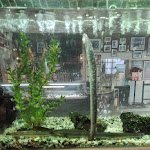 Photo n°1 de l'avis de Rui.e fait le 07/01/2023 à 14:38 sur le  Casa das Enguias à Montijo