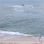 Photo n°4 de l'avis de azuolas.o fait le 18/05/2023 à 17:39 sur le  Is Morus Relais à Pula