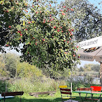 Photo n°1 de l'avis de Lupus.e fait le 03/10/2020 à 18:36 sur le  Gasthaus Dammsiel à Bremen