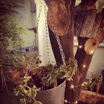 Photo n°6 de l'avis de Agnese.s fait le 23/10/2019 à 20:12 sur le  Radis Trattoria Moderna à San Prisco