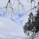 Photo n°14 de l'avis de Gianluca.a fait le 03/03/2024 à 07:26 sur le  Abraxas Osteria à Pozzuoli