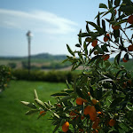 Photo n°1 de l'avis de Michaela.a fait le 10/05/2018 à 07:57 sur le  Castello di Razzano à Alfiano Natta