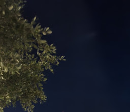 Santa Lucia. Park photo