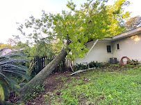 Fielder Tree Service - Photo 3 - Car repair in Tallahassee, FL, Tallahassee